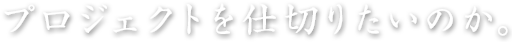 プロジェクトを仕切りたいのか。